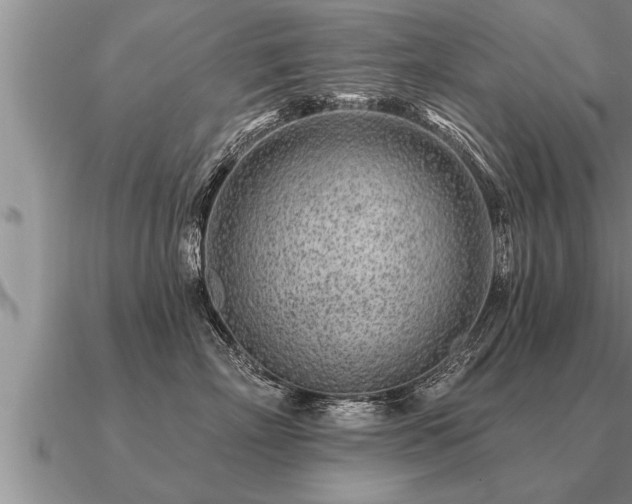 X0000091090718200708061637
