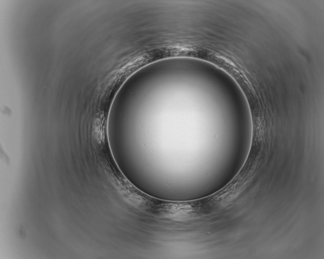 X0000091090719200708061637