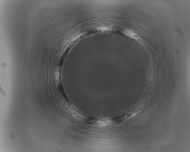 X0000091090720200708061637