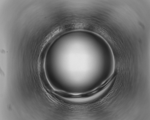 X0000091090722200708061636