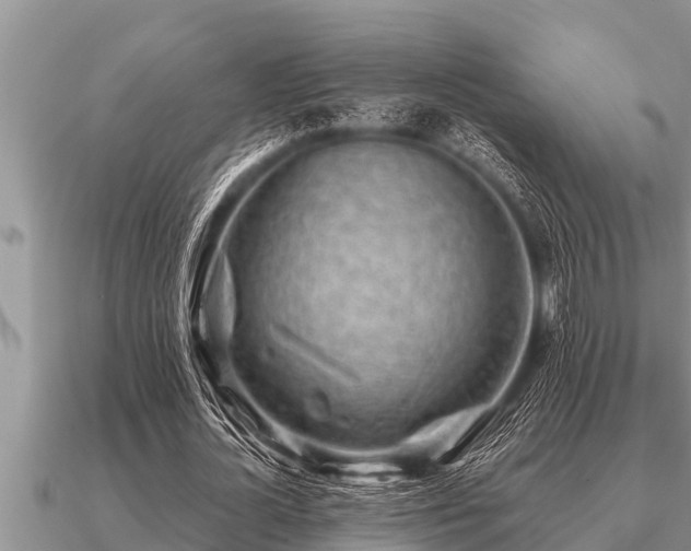 X0000091090724200708061636
