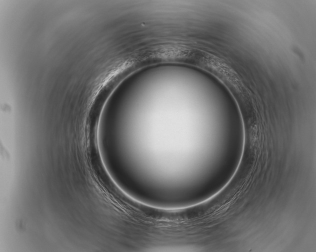 X0000091090727200708061636