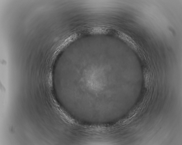 X0000091090729200708061636