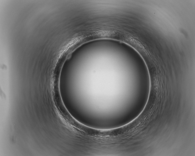 X0000091090730200708061636