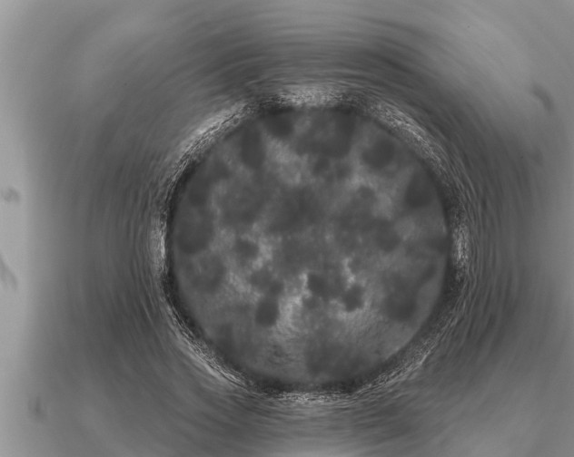 X0000091090733200708061636