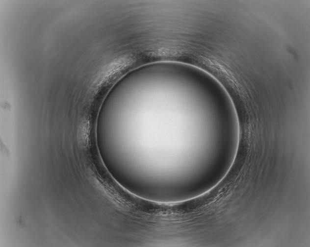 X0000091090735200708061636