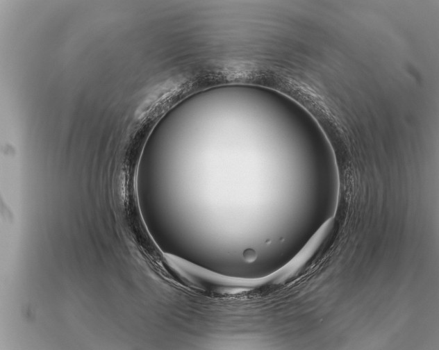 X0000091090740200708061636