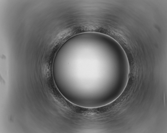 X0000091090743200708061636