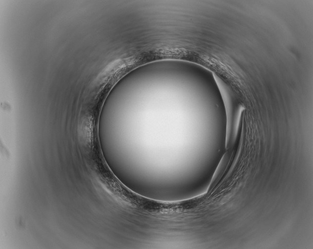 X0000091090744200708061636