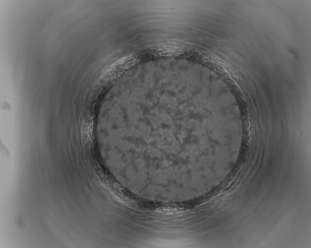 X0000091090745200708061636