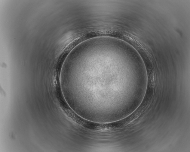 X0000091090746200708061636