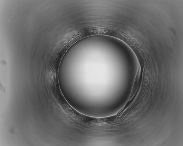 X0000091090747200708061636