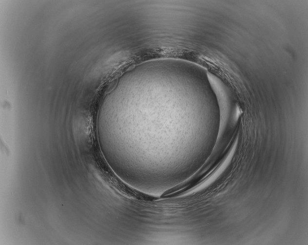 X0000091090748200708061636