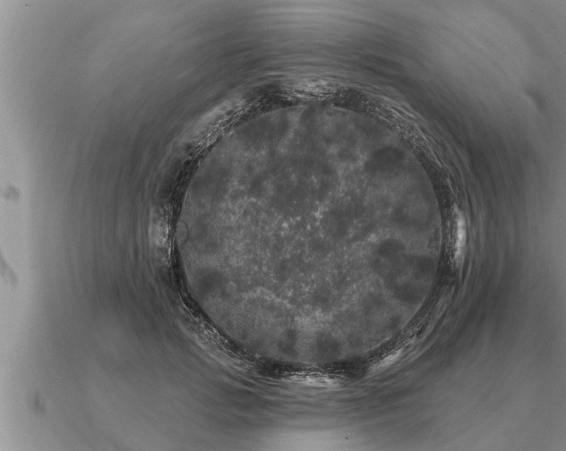 X0000091090749200708061636