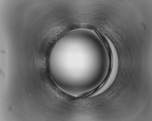 X0000091090750200708061636