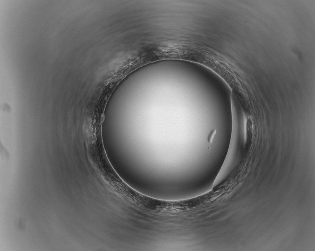 X0000091090751200708061636
