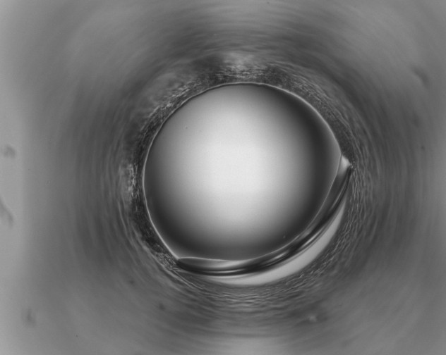 X0000091090752200708061636