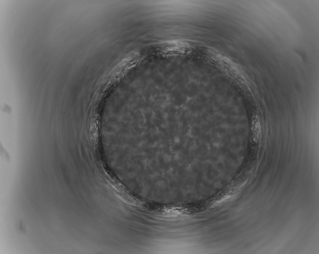 X0000091090753200708061636