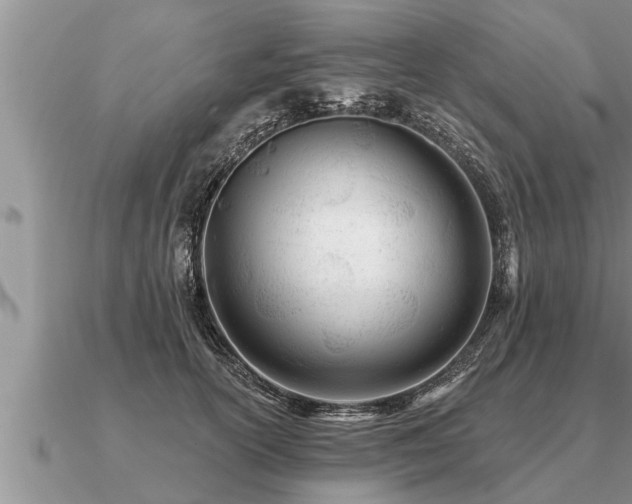 X0000091090754200708061636