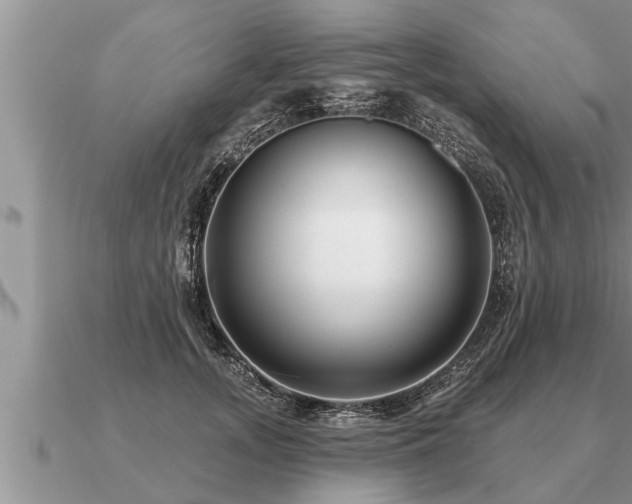 X0000091090755200708061636
