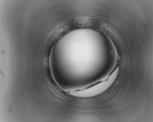 X0000091090756200708061636