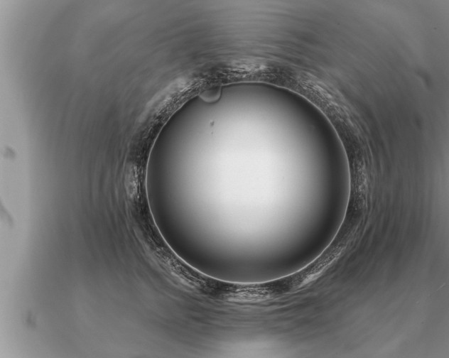 X0000091090758200708061636