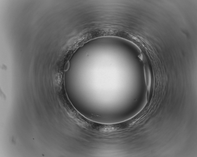 X0000091090759200708061636