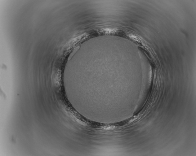 X0000091090760200708061637