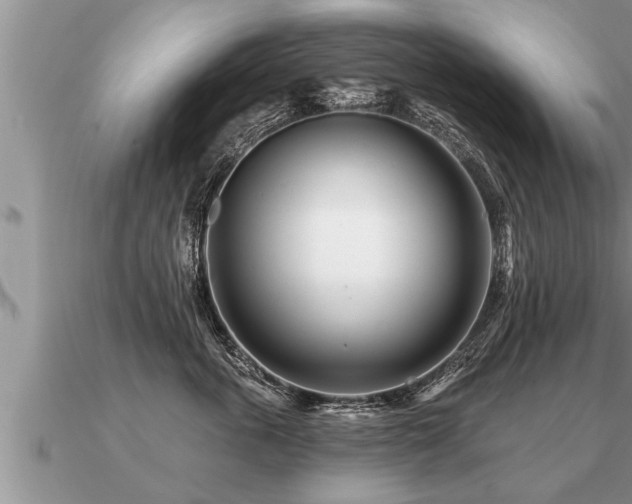 X0000091090763200708061637