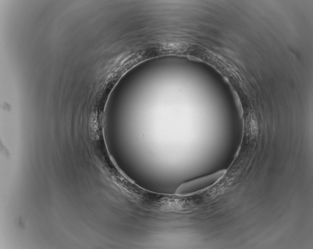 X0000091090764200708061637