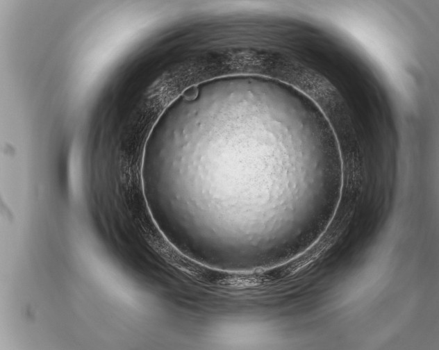 X0000091090765200708061637