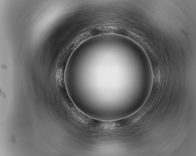 X0000091090767200708061637