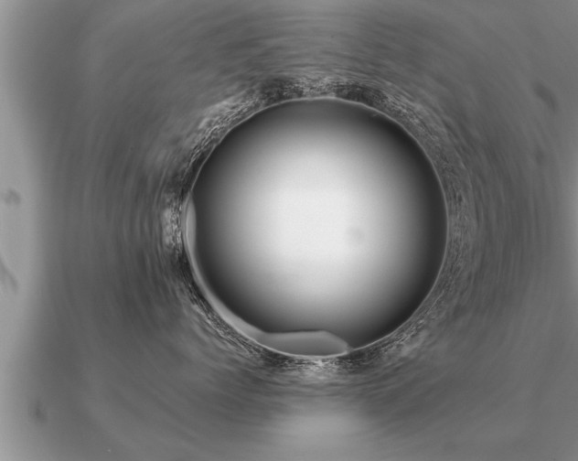 X0000091090768200708061637