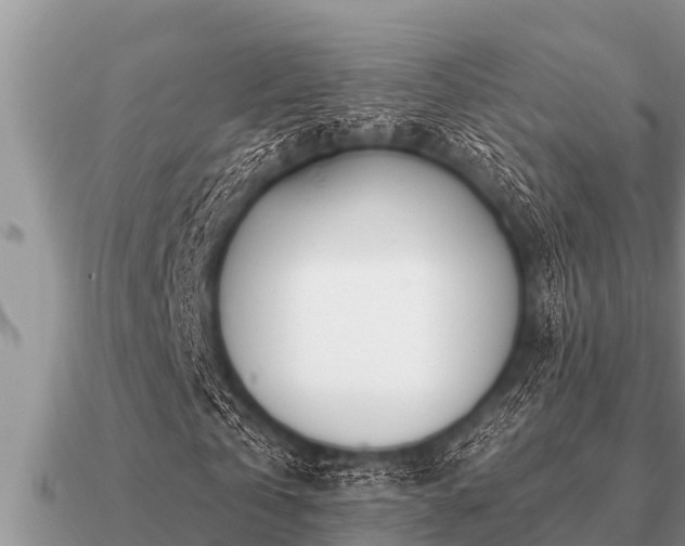 X0000091090769200708061636