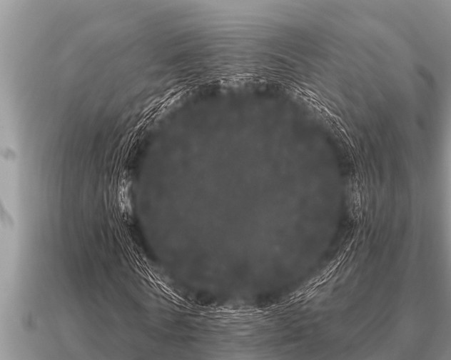 X0000091090770200708061636