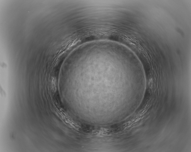 X0000091090772200708061636