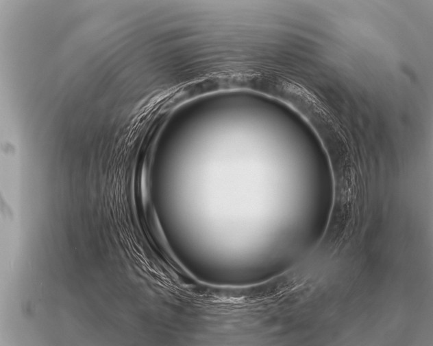 X0000091090773200708061636