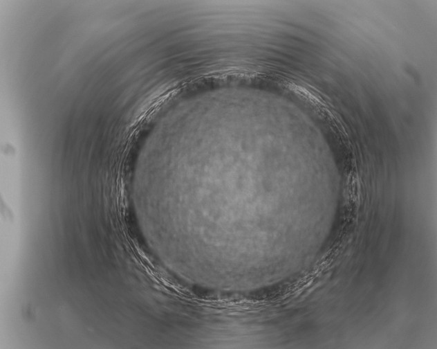 X0000091090774200708061636