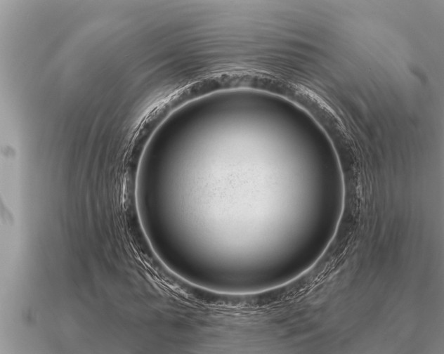 X0000091090775200708061636
