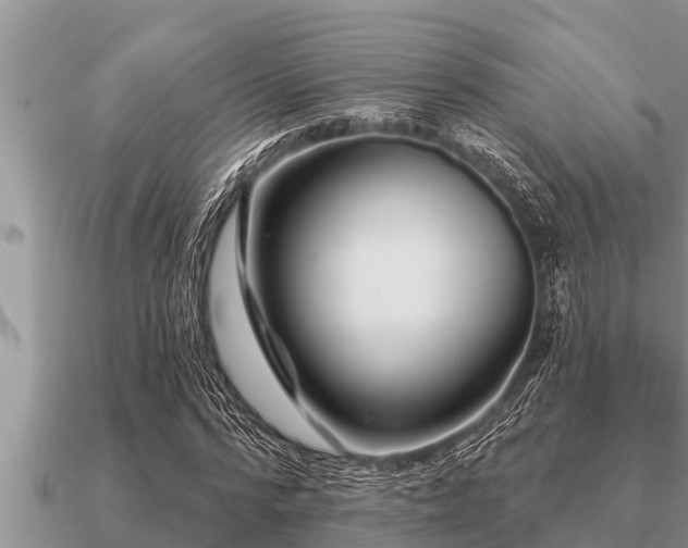 X0000091090776200708061636