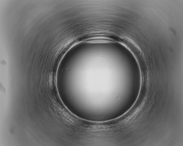 X0000091090777200708061636