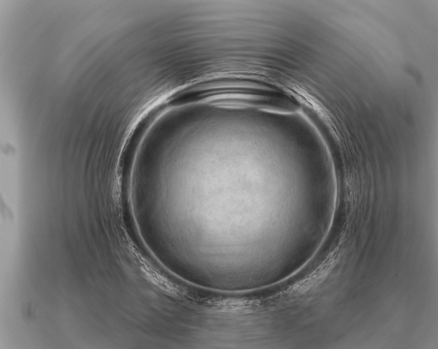 X0000091090779200708061636