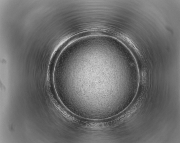 X0000091090780200708061636