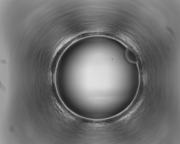 X0000091090781200708061636