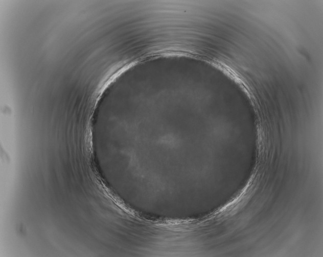 X0000091090782200708061636
