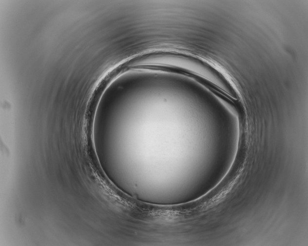 X0000091090783200708061636