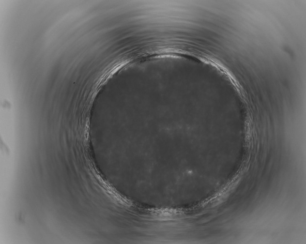 X0000091090785200708061636