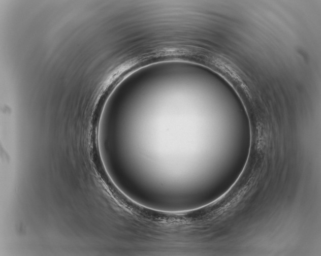 X0000091090786200708061636