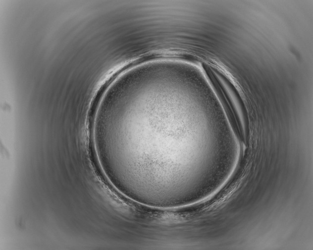 X0000091090787200708061636