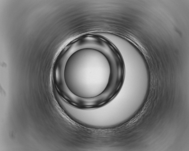 X0000091090788200708061636